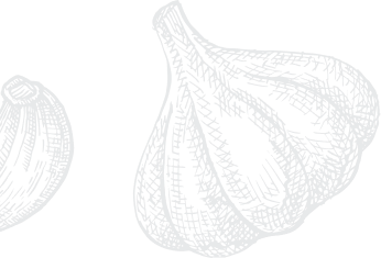 Shape Image
